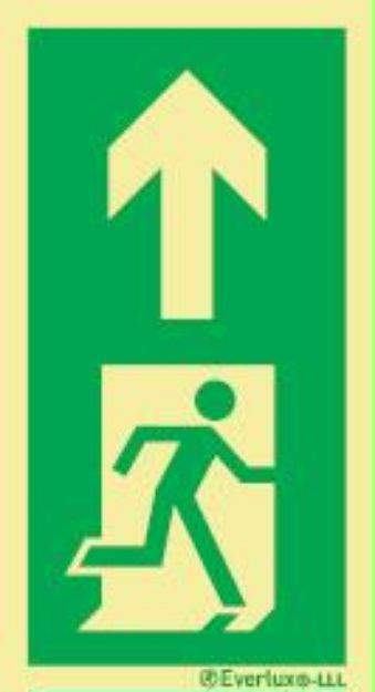 Low location lighting, floor marking Evacuation ro